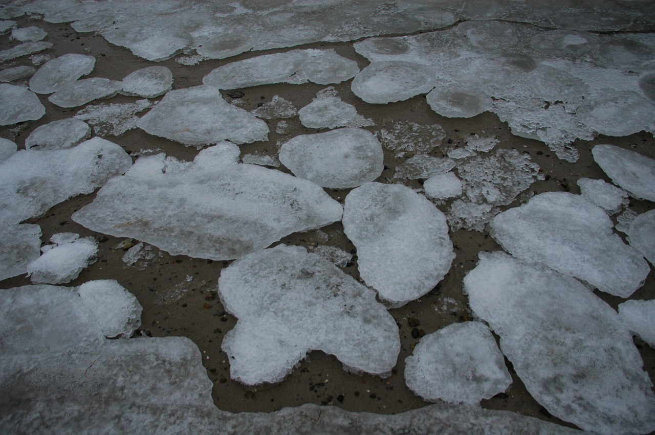 ice floes baltic sea beach free photo