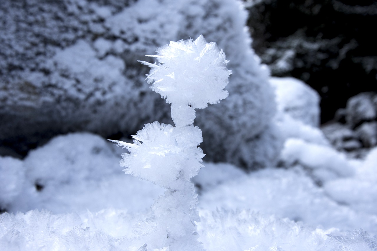ice flowers eiskristalle white free photo