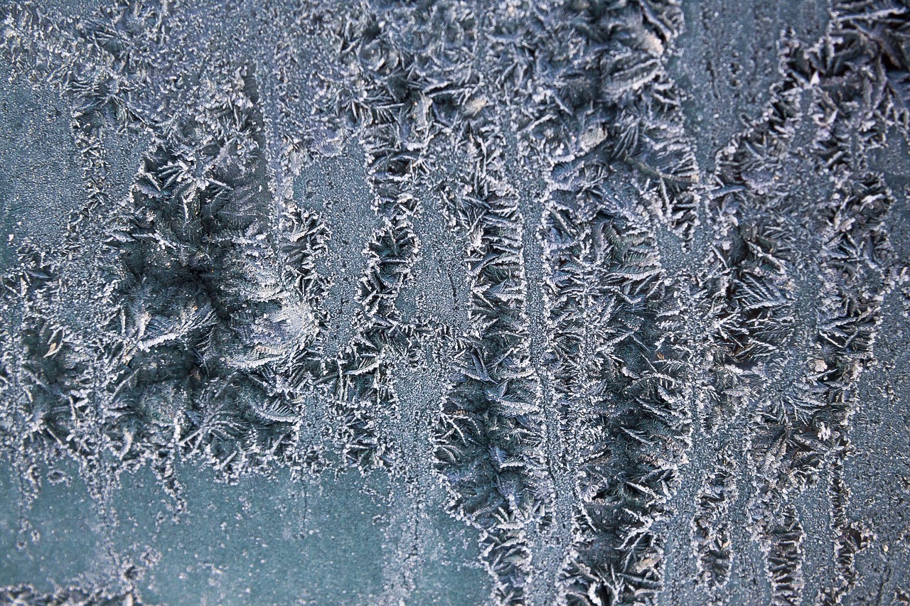 ice flowers hoarfrost frost free photo