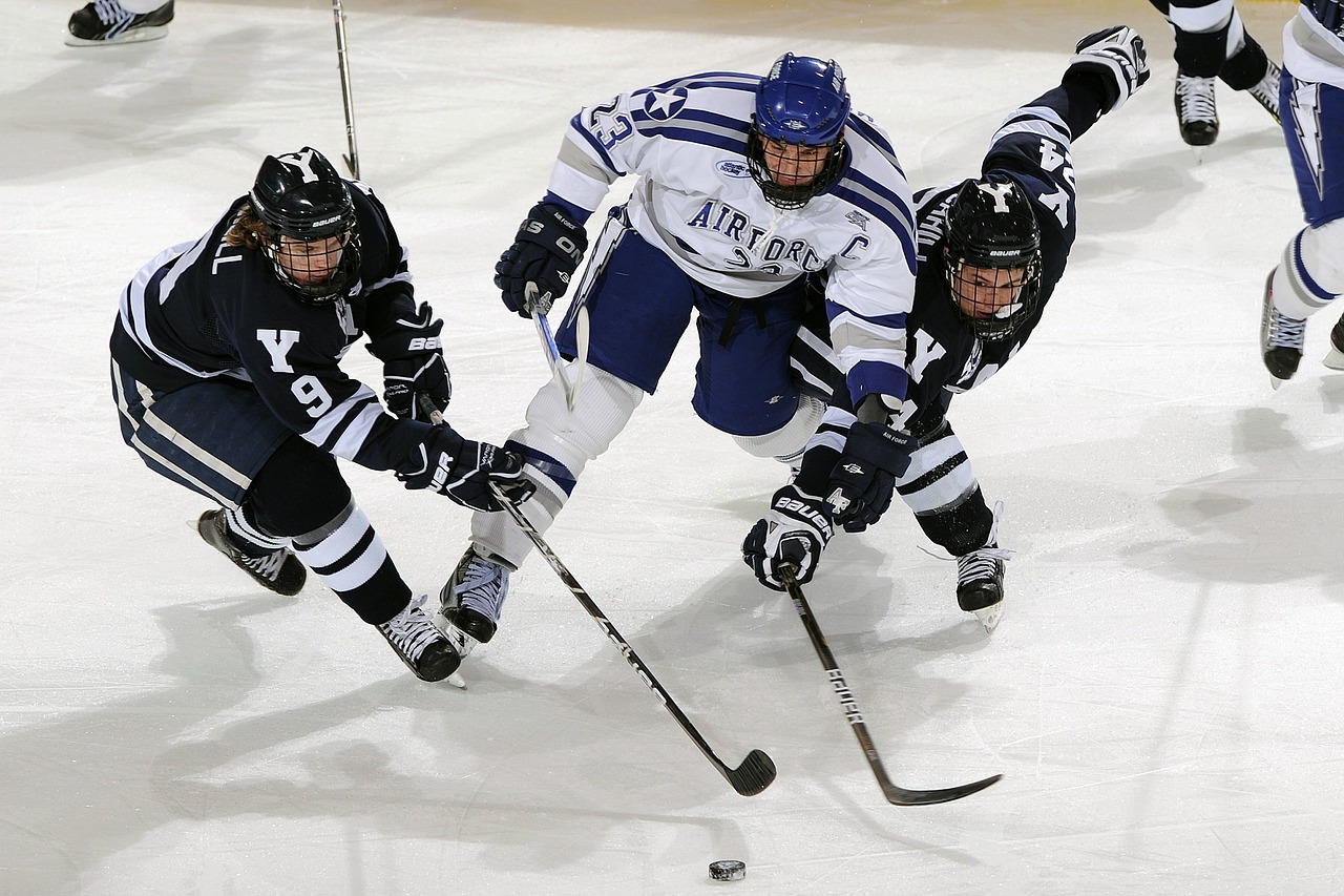 ice hockey puck players free photo