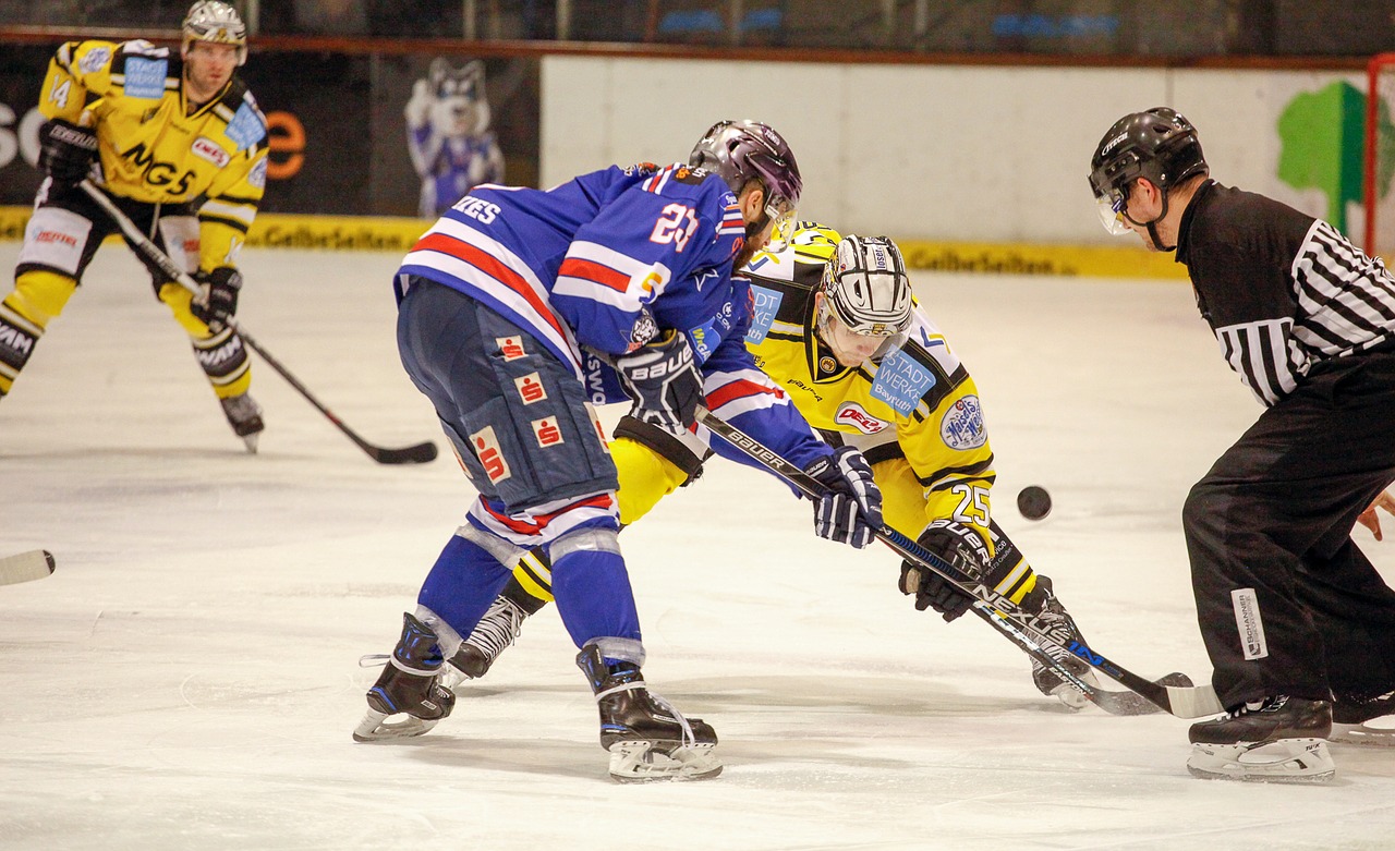 ice hockey kassel huskies ice stadium free photo