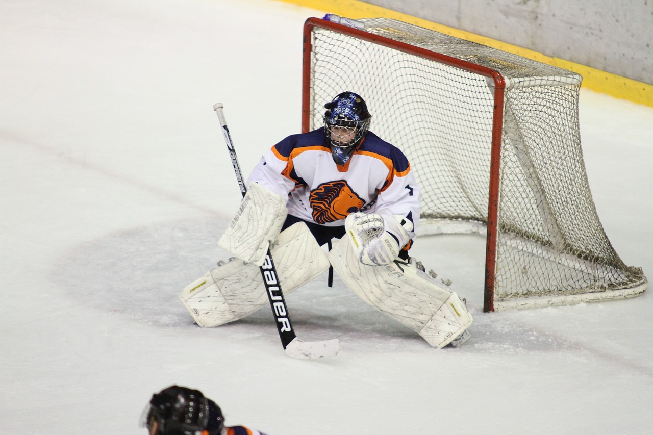 ice hockey winter sports goal keeper free photo