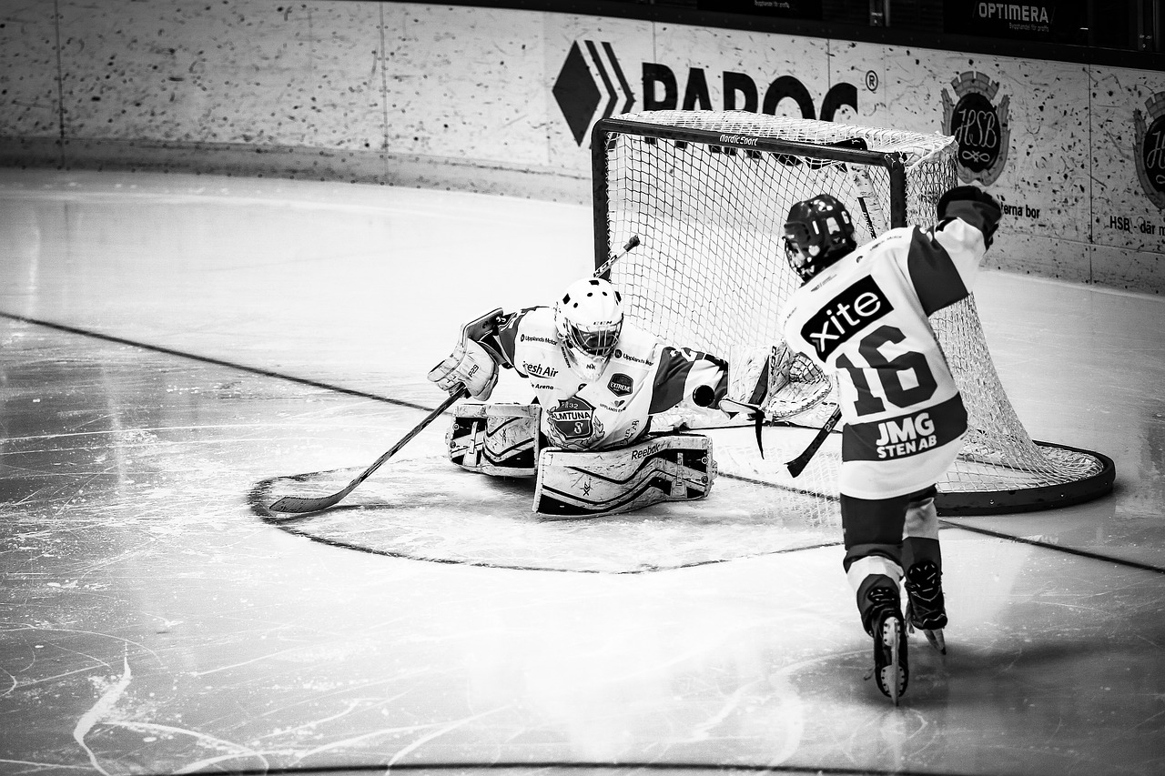 ice hockey  hockey  ice free photo