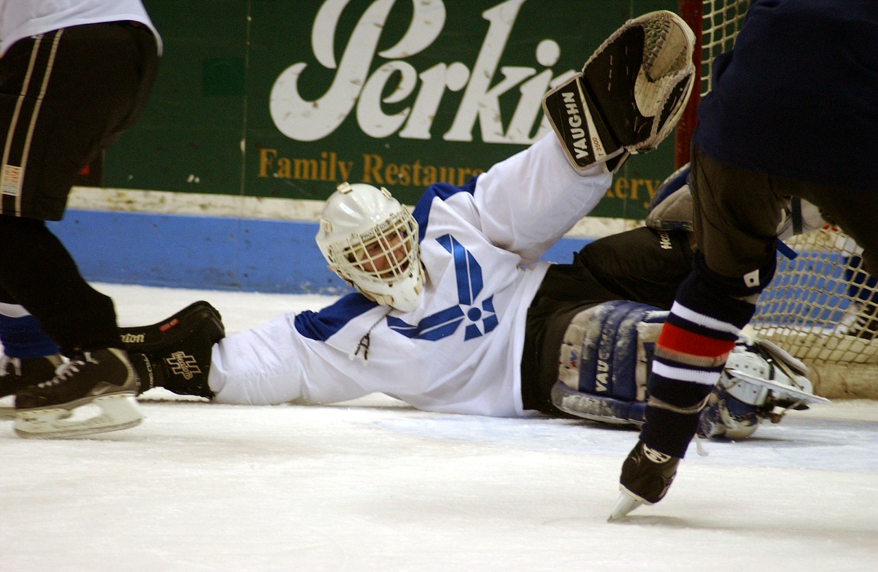 ice hockey goalie goal free photo