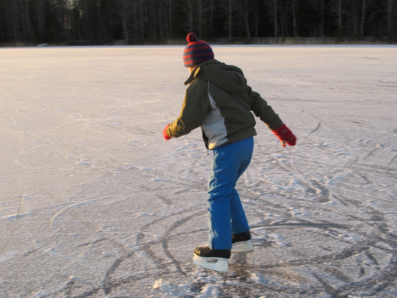 ice skates winter sports free photo