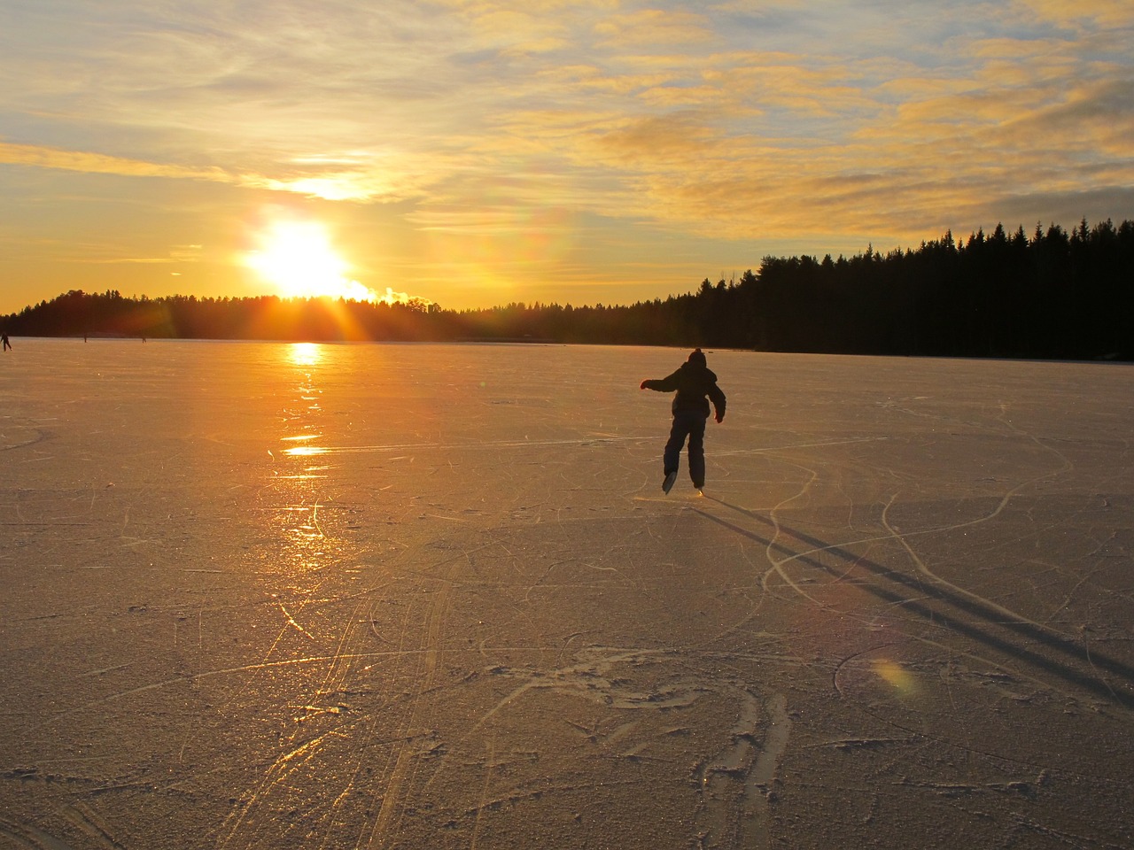 ice skates ice nature free photo