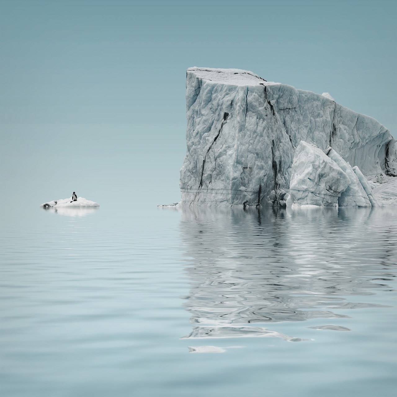 iceberg glacier antarctica free photo
