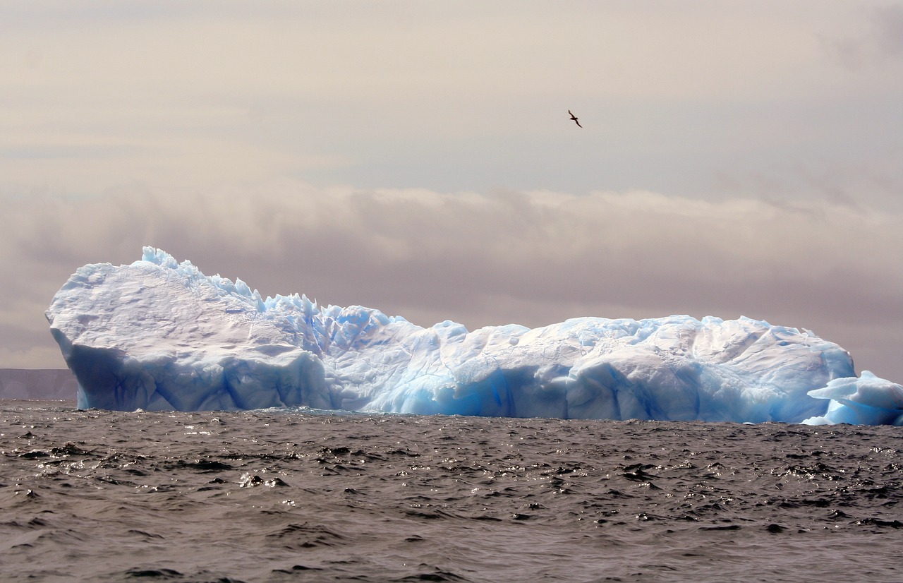 iceberg antarctica ice free photo
