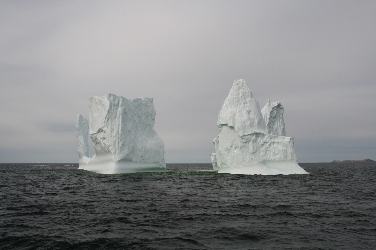 iceberg newfoundland ocean free photo