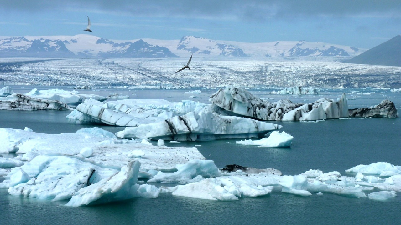 iceberg iceland glacier free photo