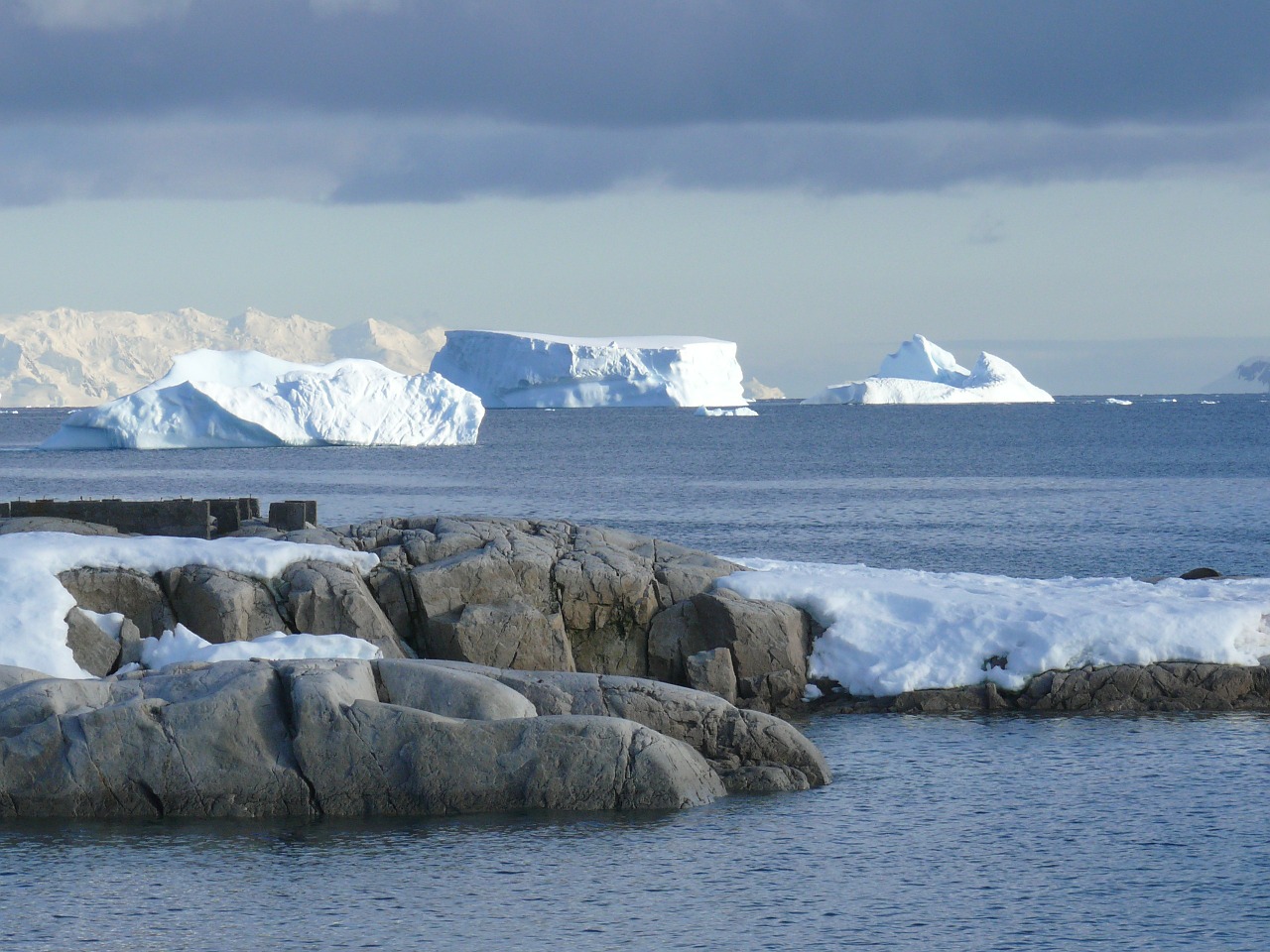 icebergs antarctica southern ocean free photo