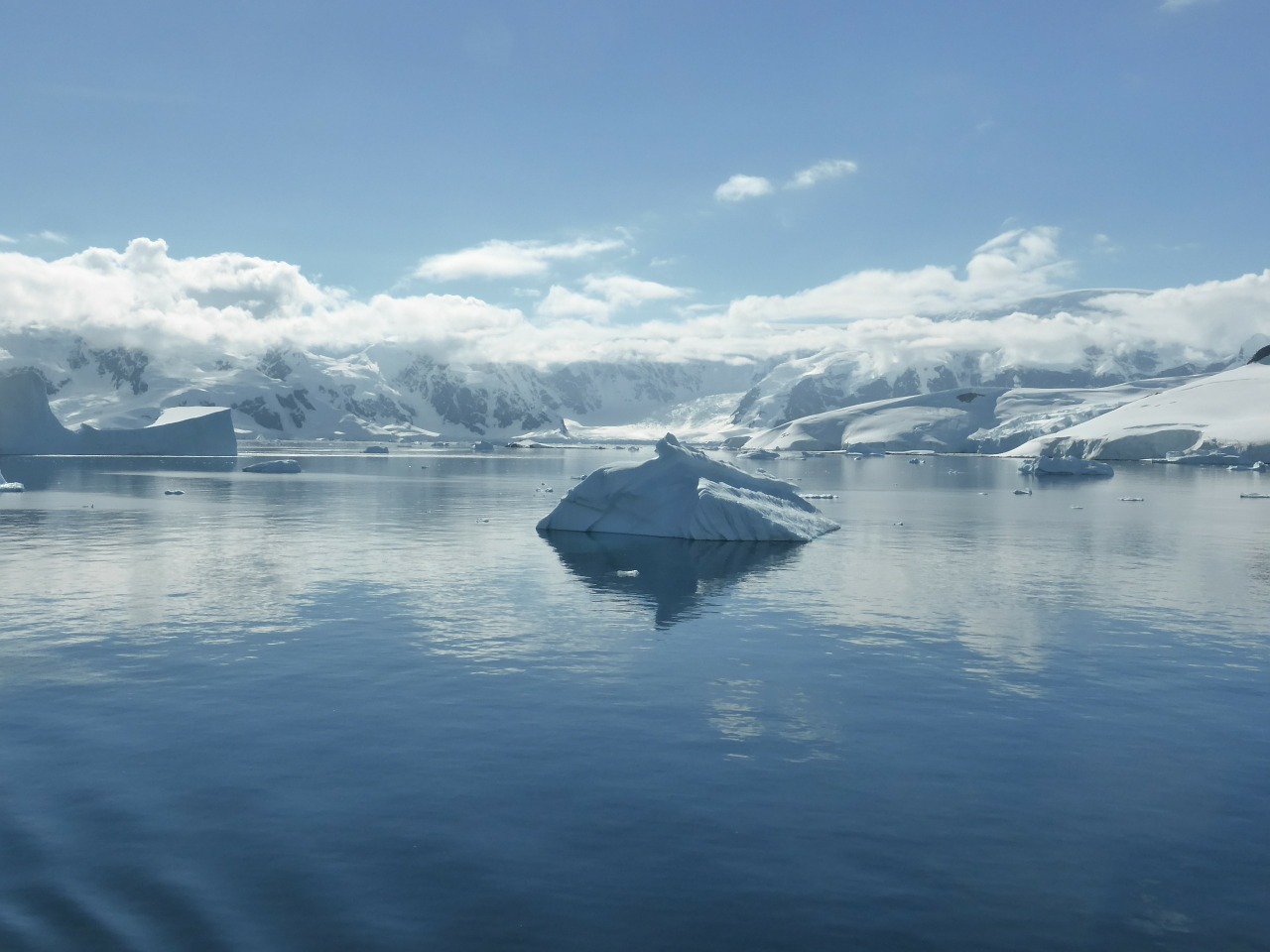 icebergs antarctic peninsula southern ocean free photo