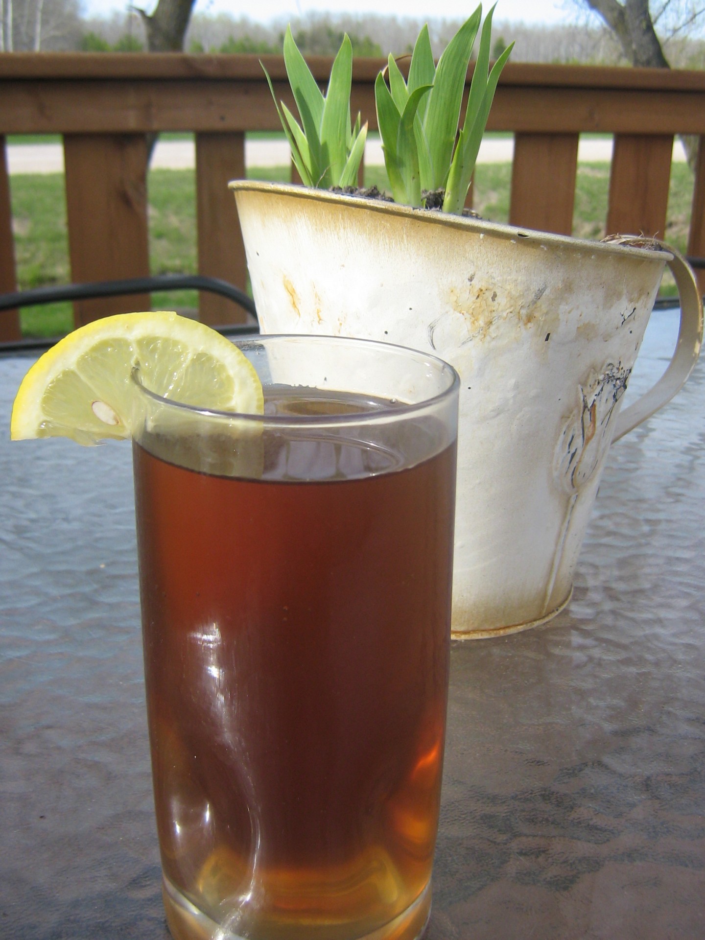 iced tea drink outside free photo