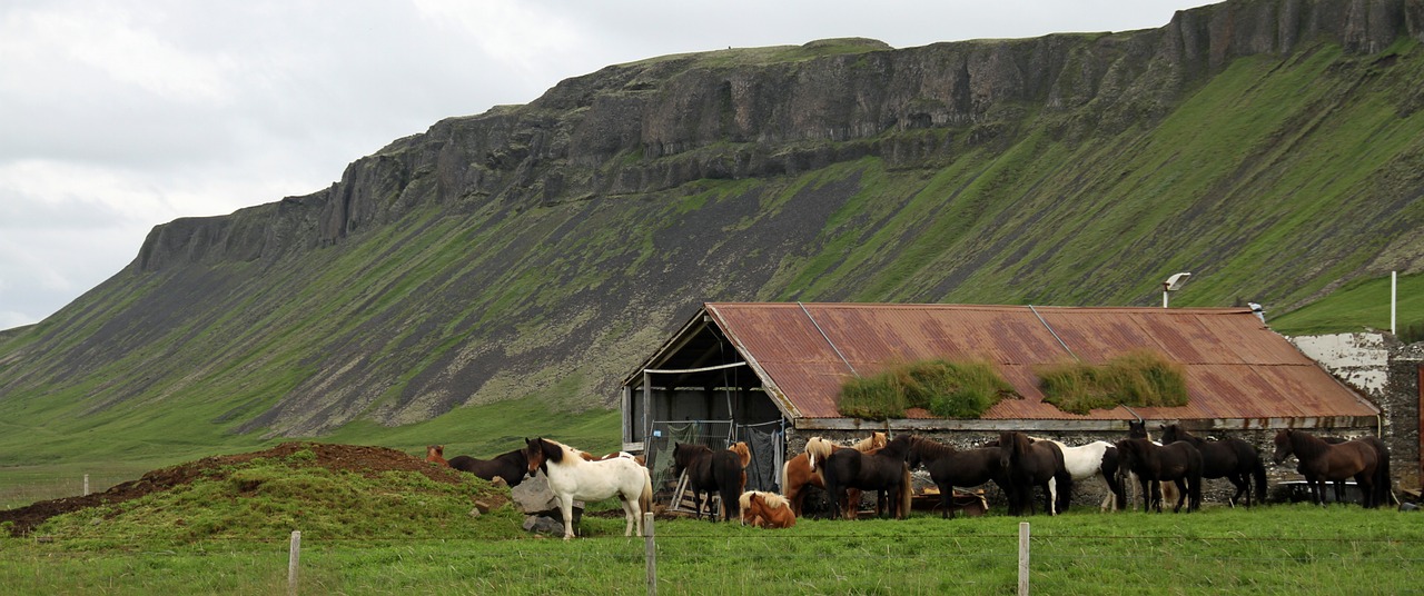 iceland icelandic nature free photo