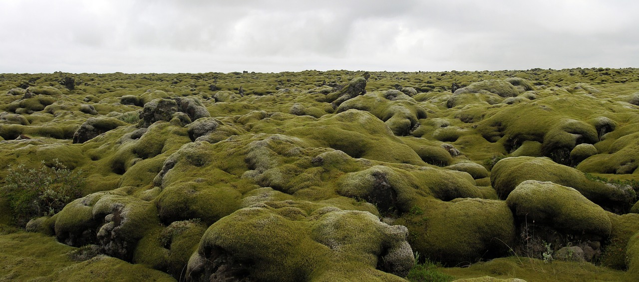 iceland nature landscape free photo