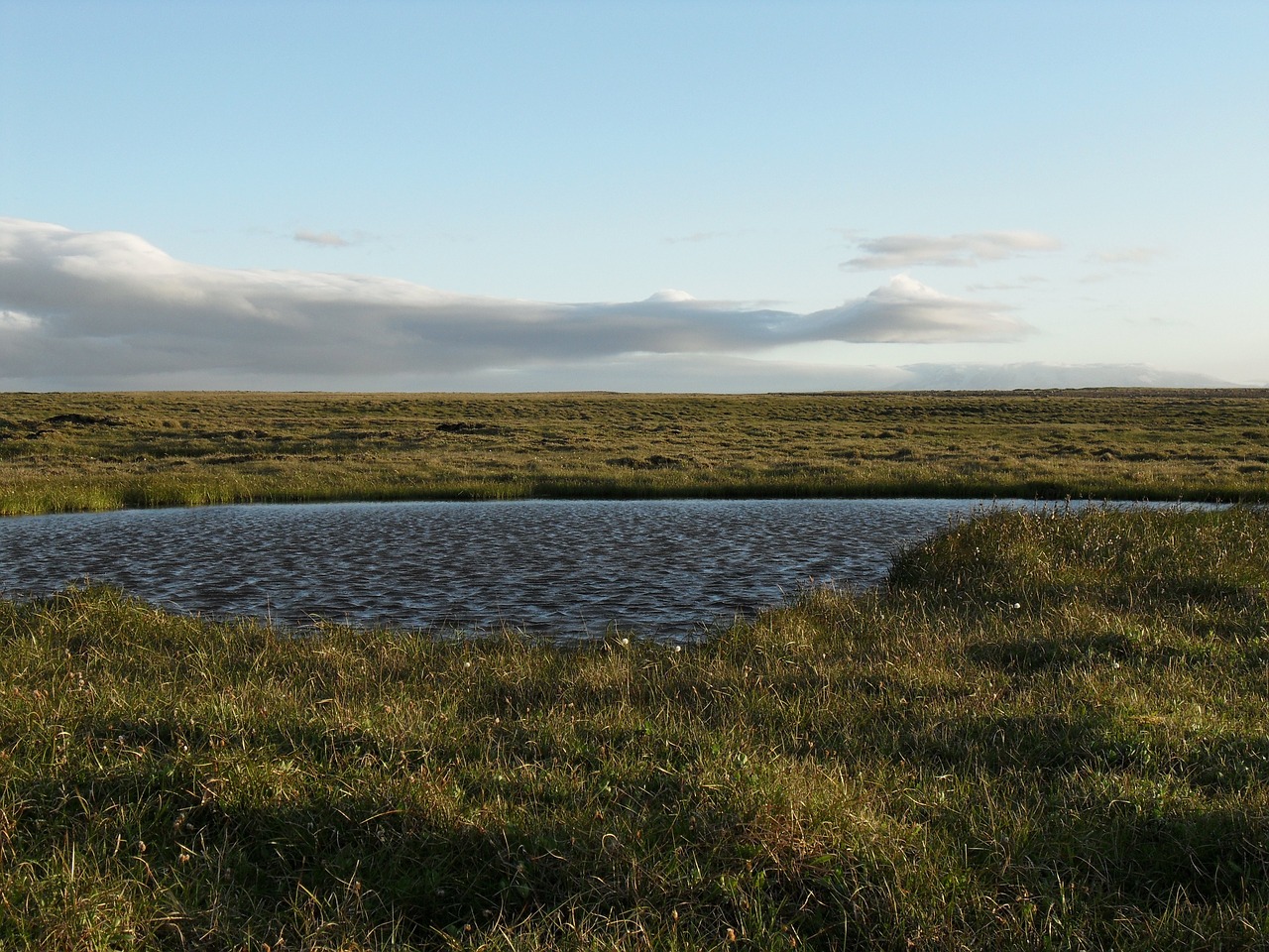 iceland lake grass free photo