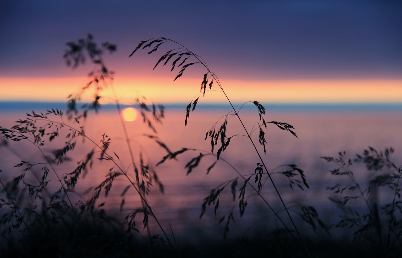 iceland sea sunset free photo