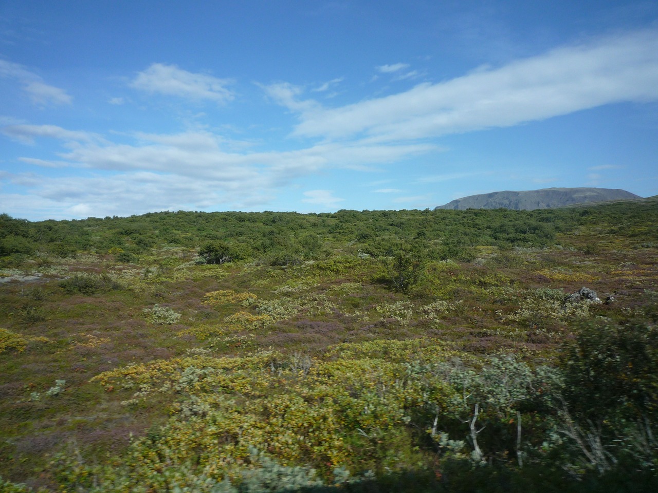 iceland nature landscape free photo