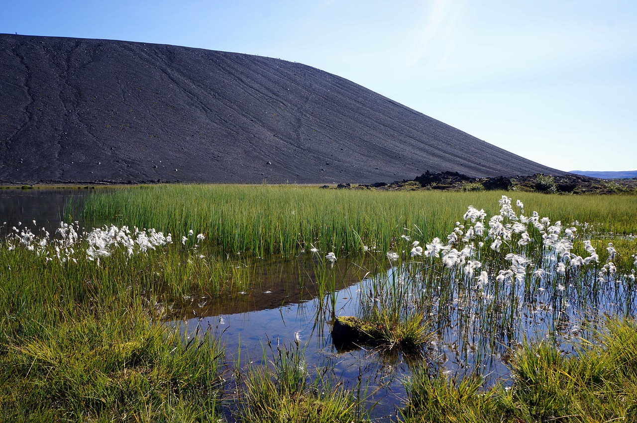 iceland nature volcano free photo