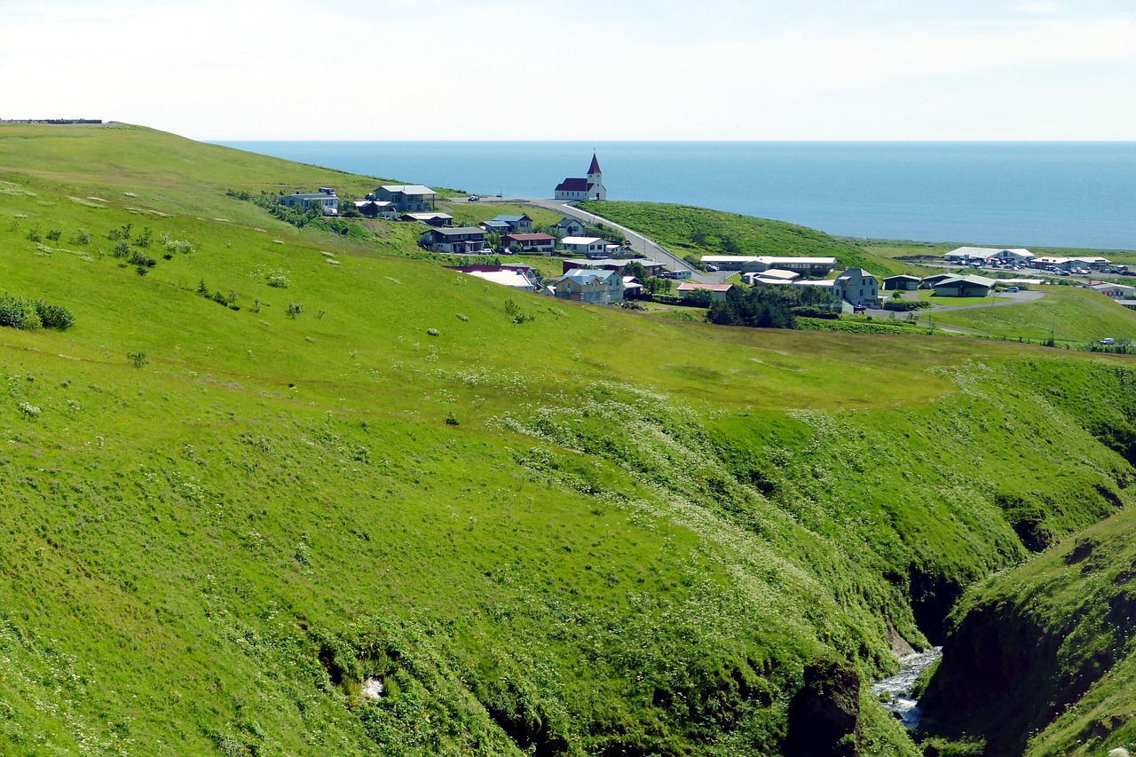 iceland vik south coast free photo