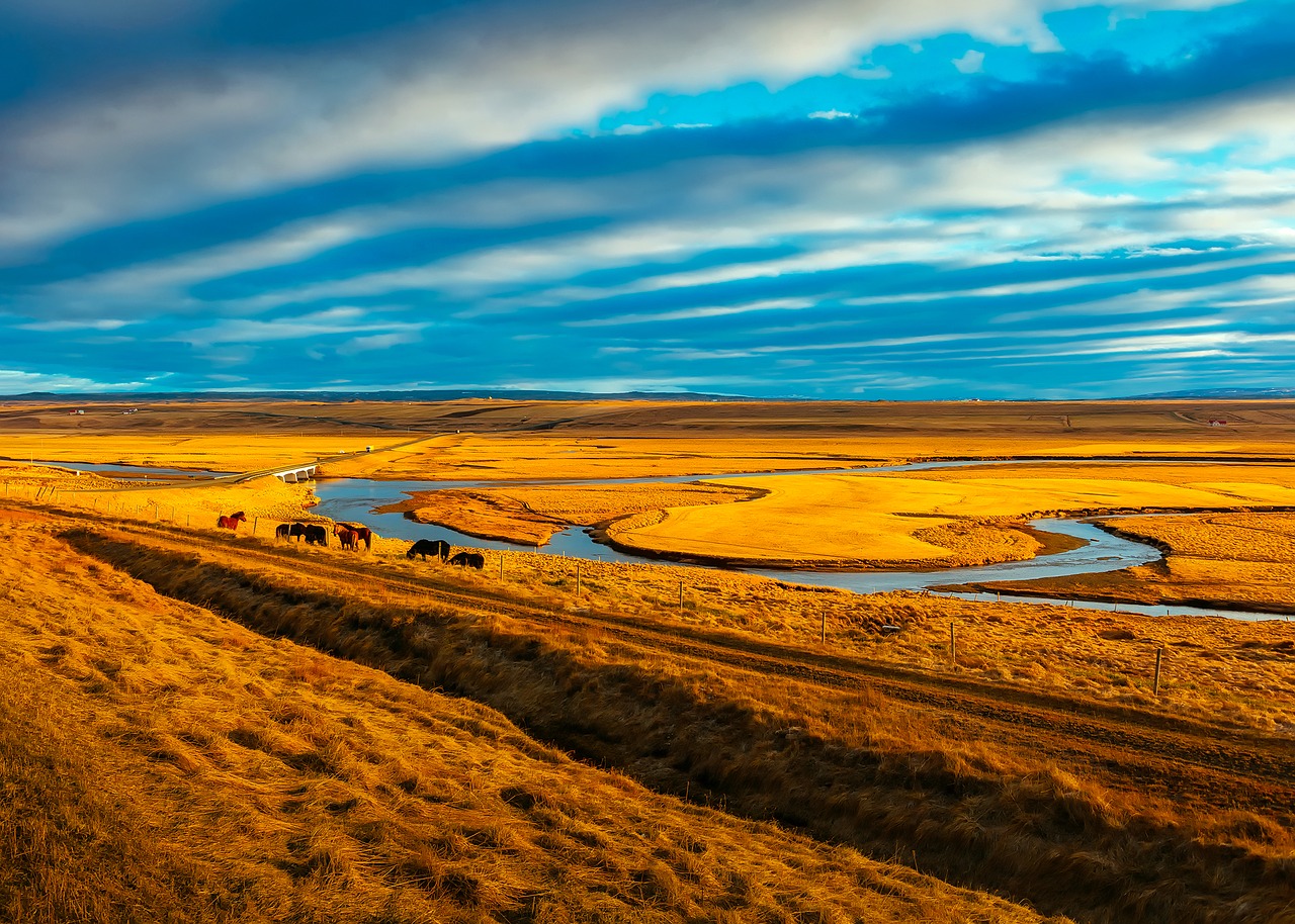 iceland horses sky free photo