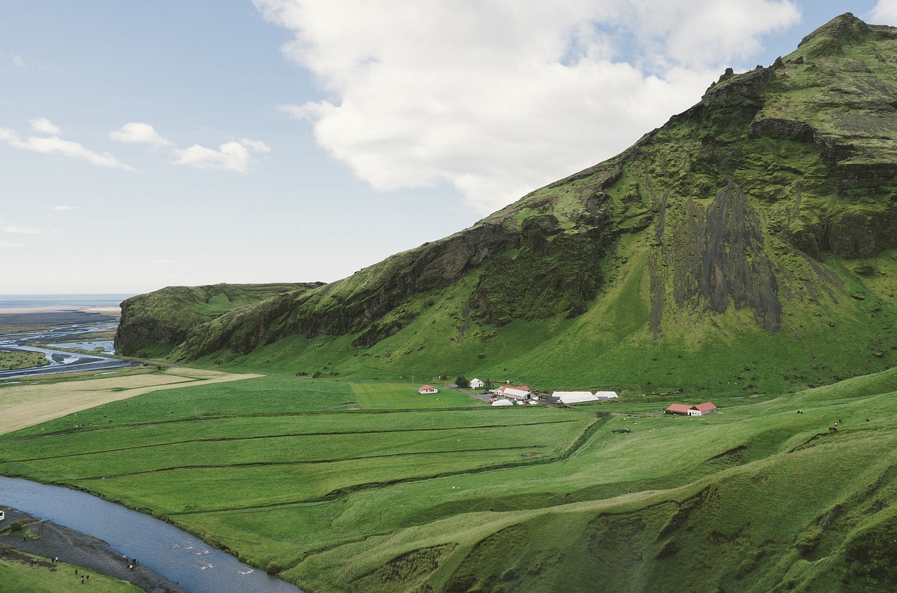 iceland green grass free photo