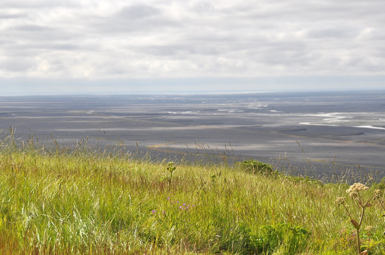 iceland landscape grass free photo