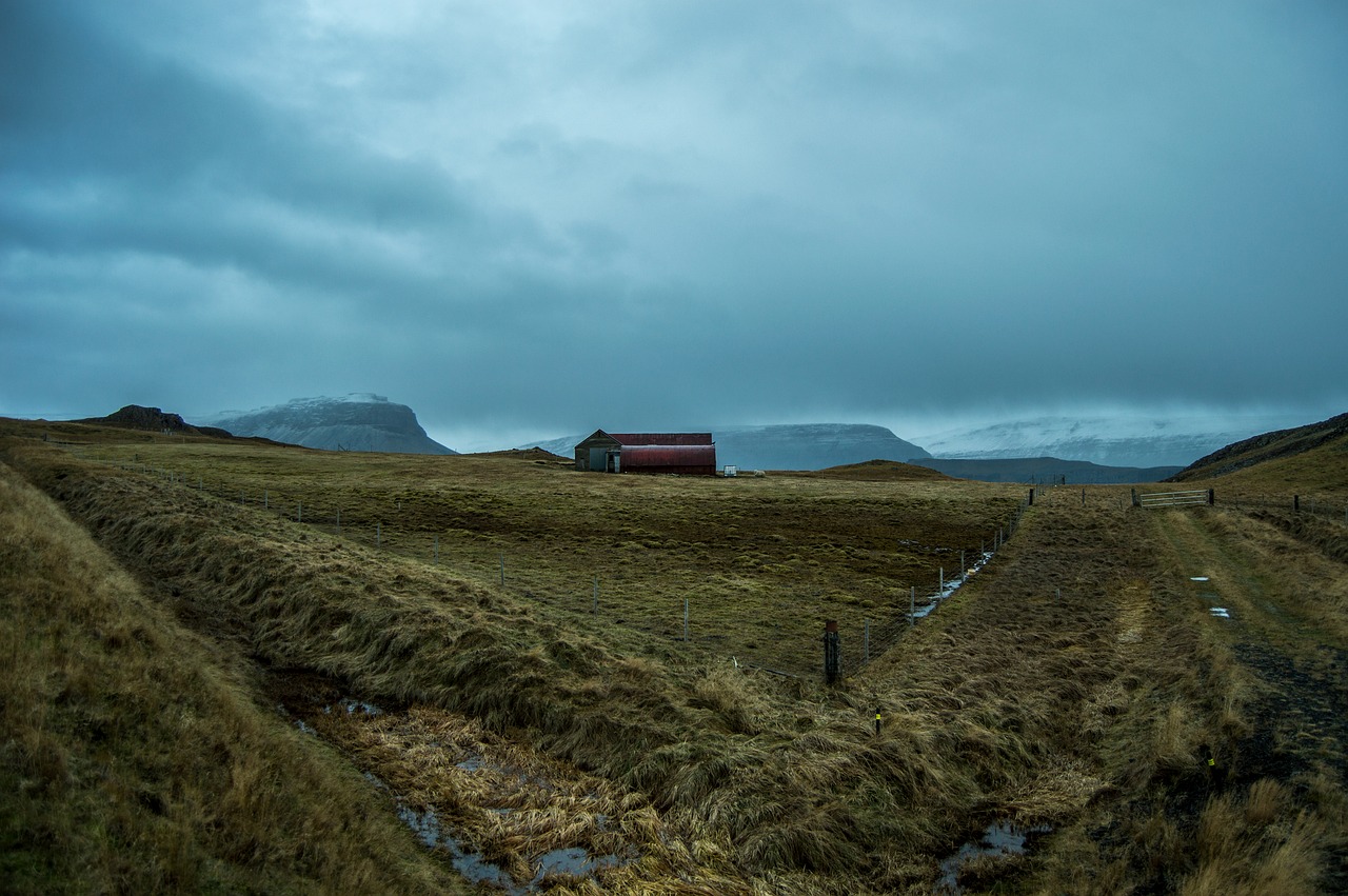 iceland pastures cold free photo