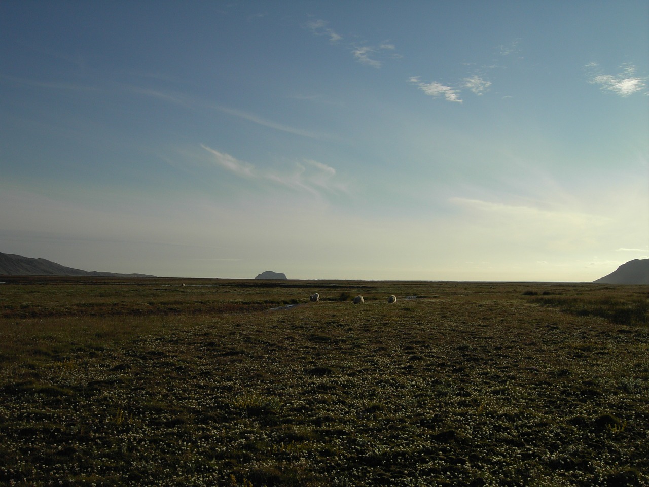 iceland nature wide free photo