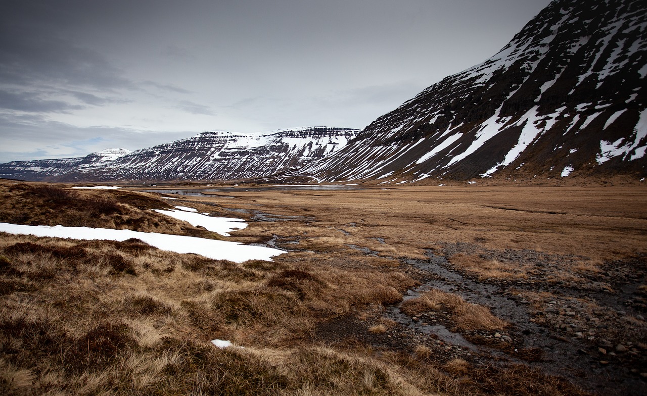 iceland  fjord  plain free photo