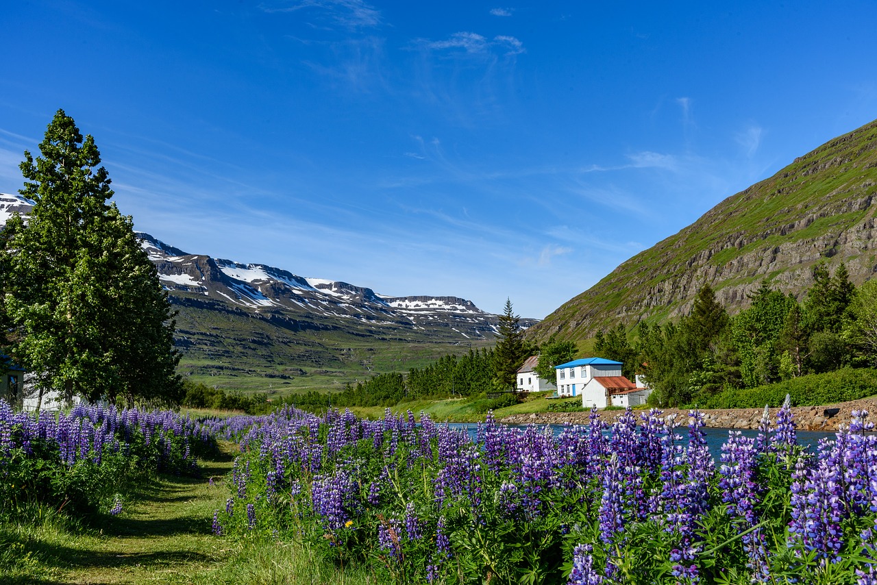 iceland  landscape  seyðisfjörður free photo