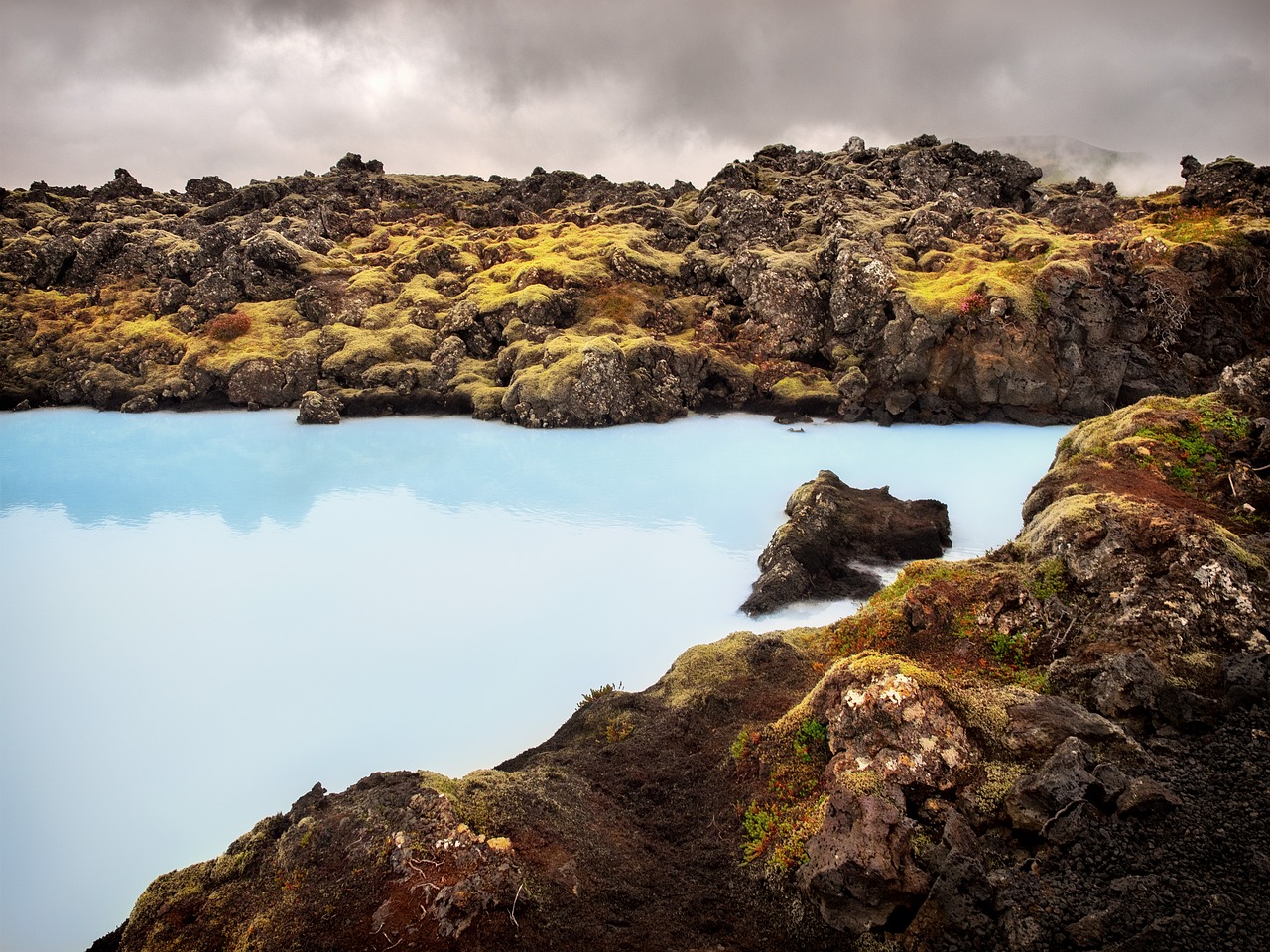 iceland  moss  rock free photo