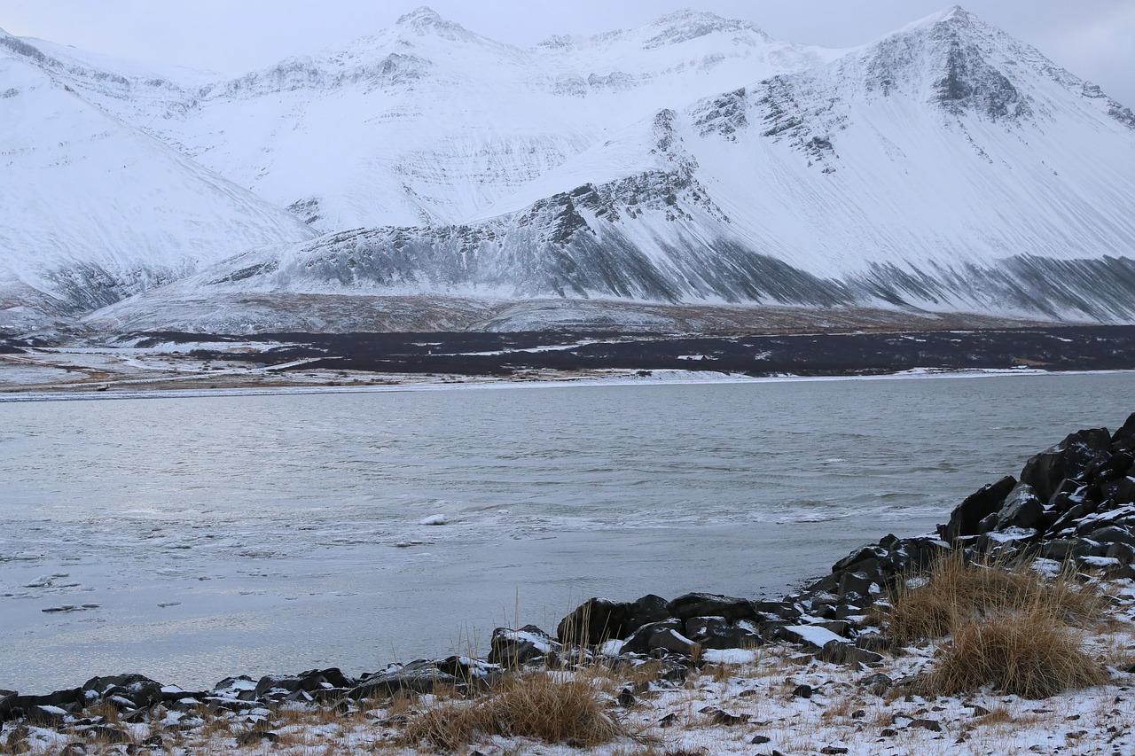 iceland  winter  sea free photo