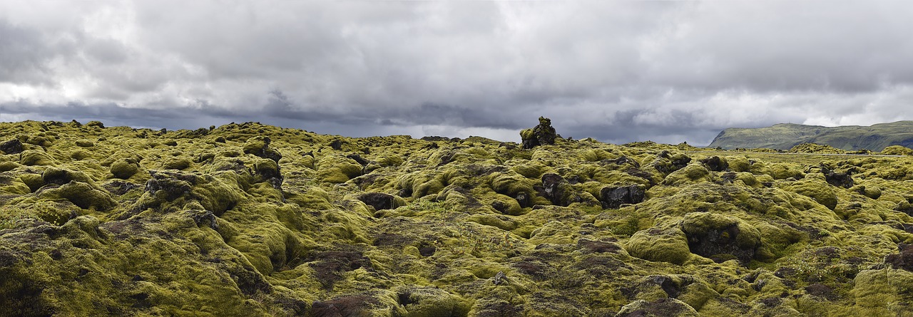 iceland  green  nature free photo