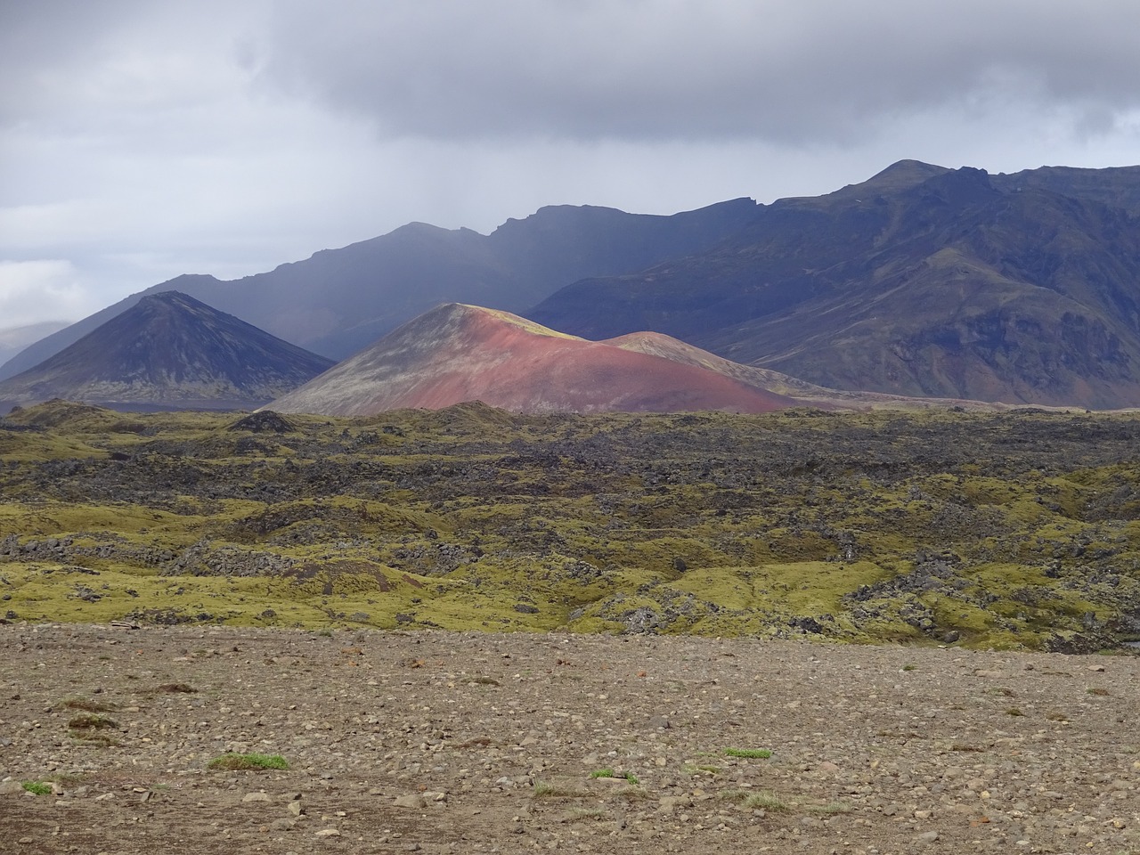 iceland  mountain  moss free photo