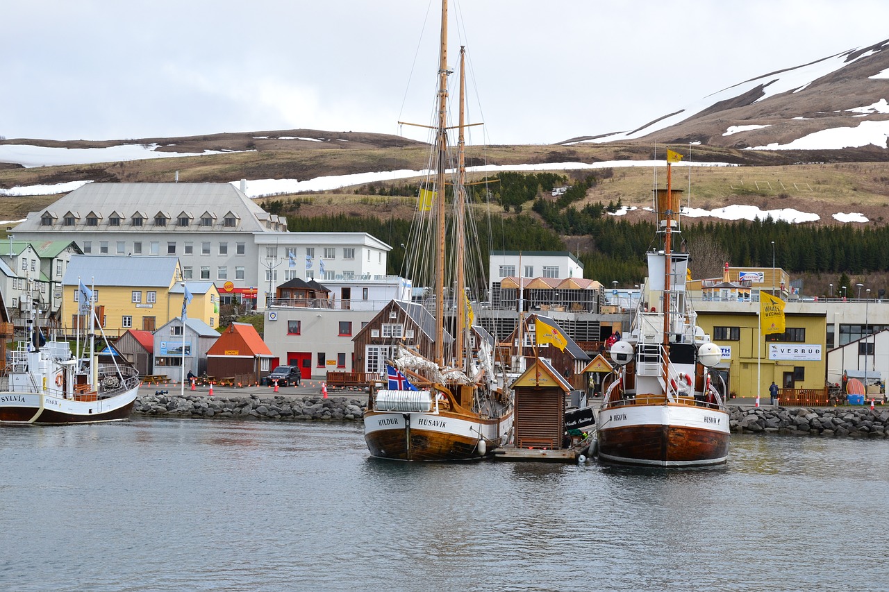 iceland  marina  ships free photo