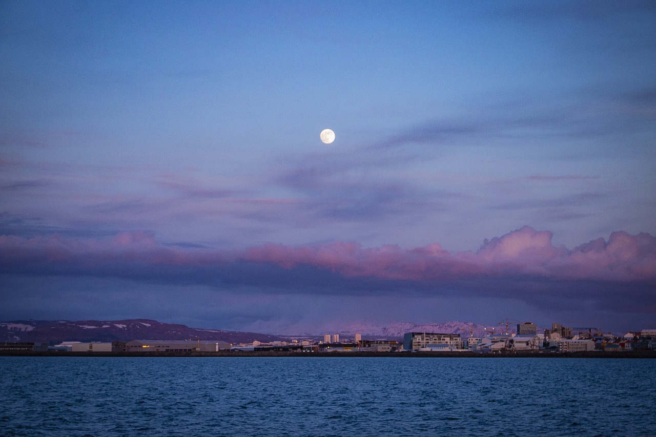 iceland  reykjavik  promenade free photo