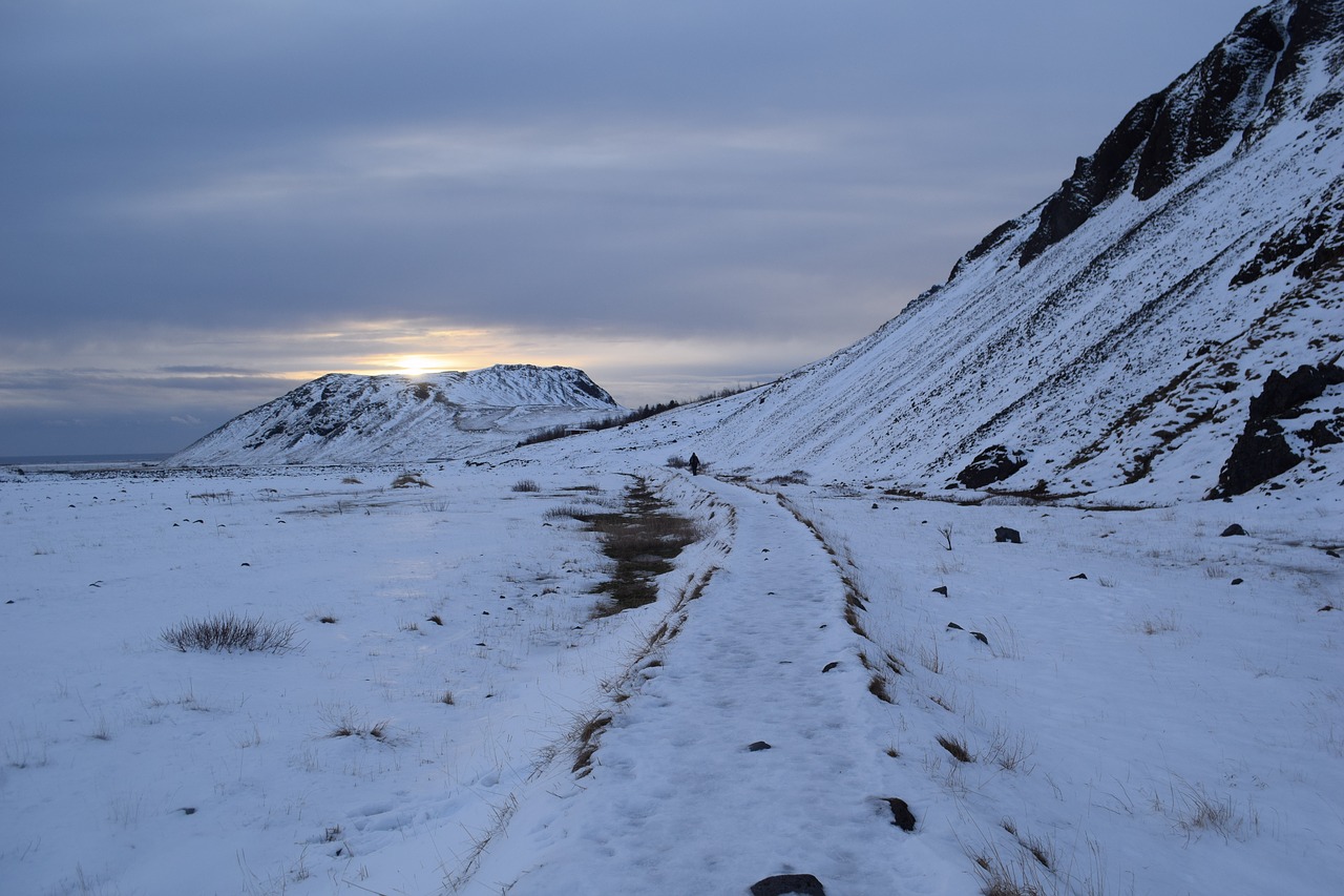 iceland  winter  south free photo