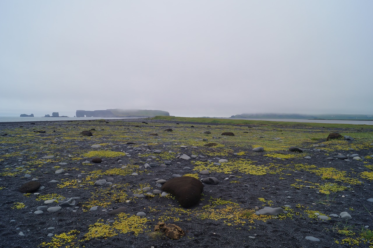 iceland  landscape  black beach free photo