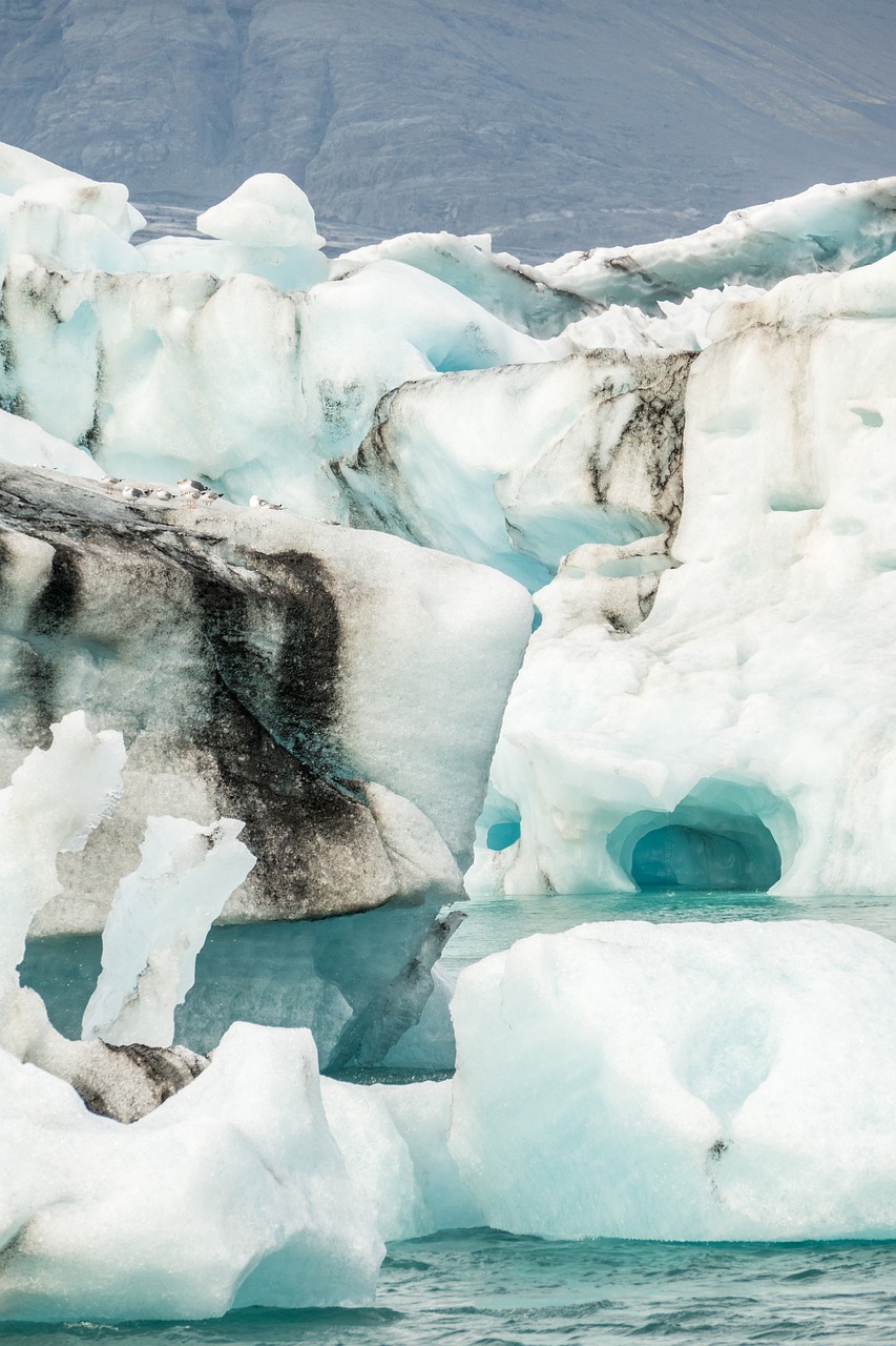 iceland  glacier  ice free photo