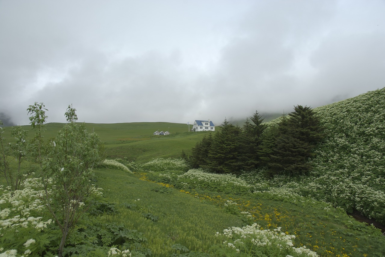 iceland  victor corner  cabin free photo