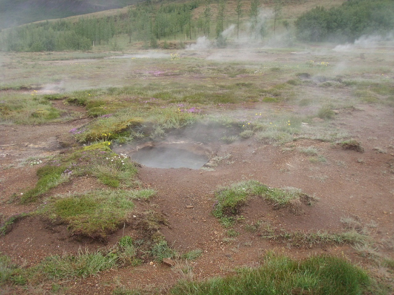 iceland geyser mountains free photo