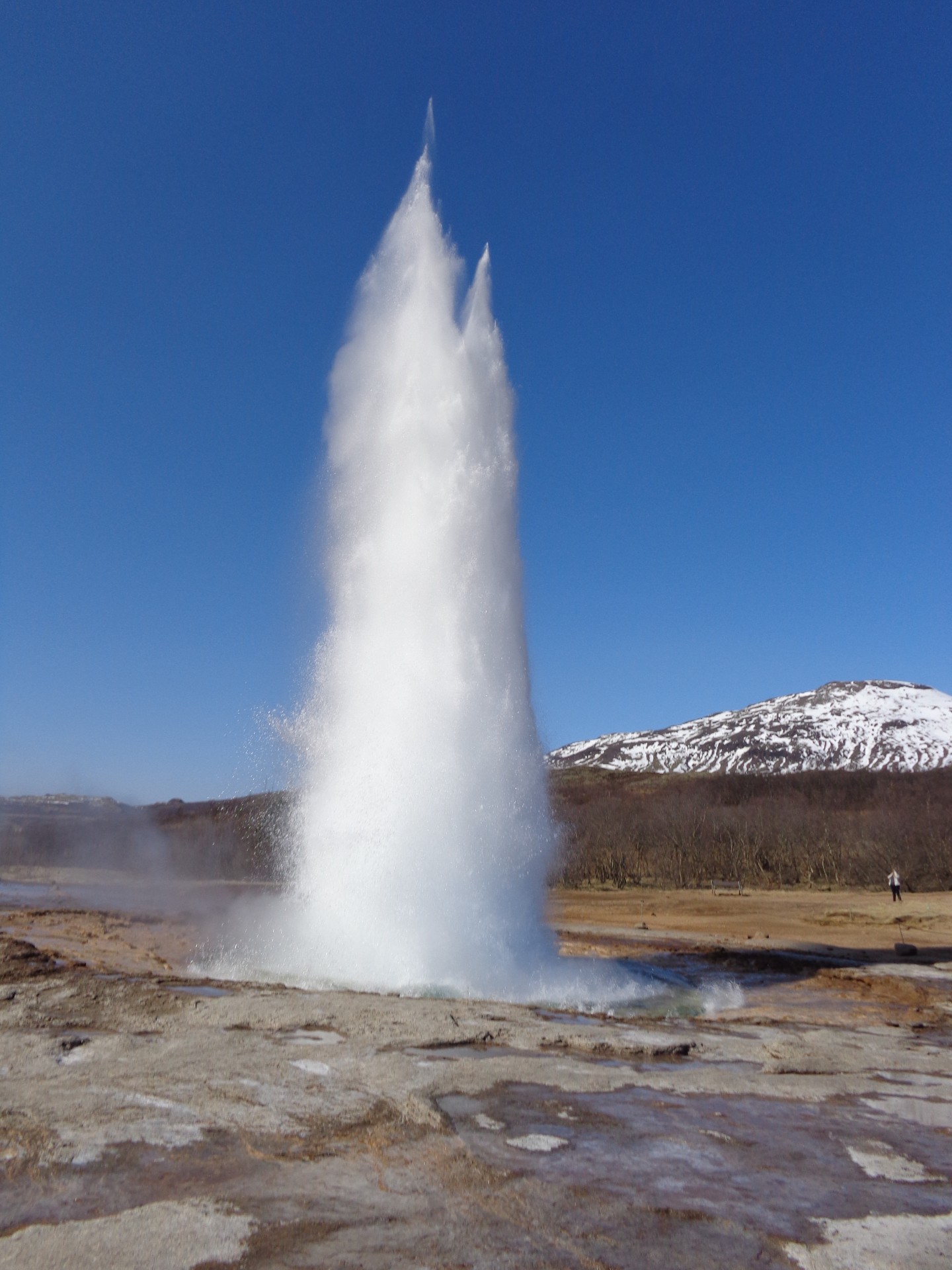 iceland geyser iceland geyser free photo