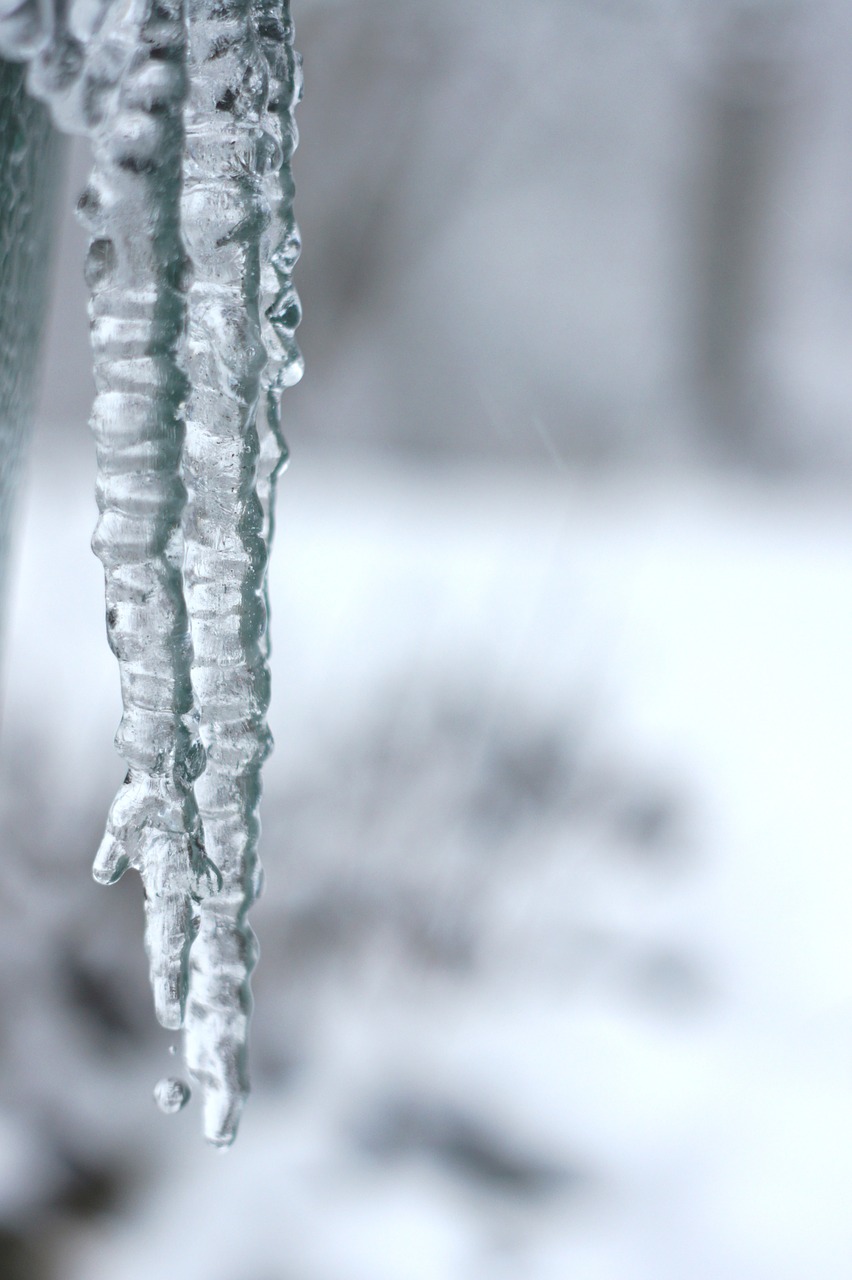 icicle winter snow free photo