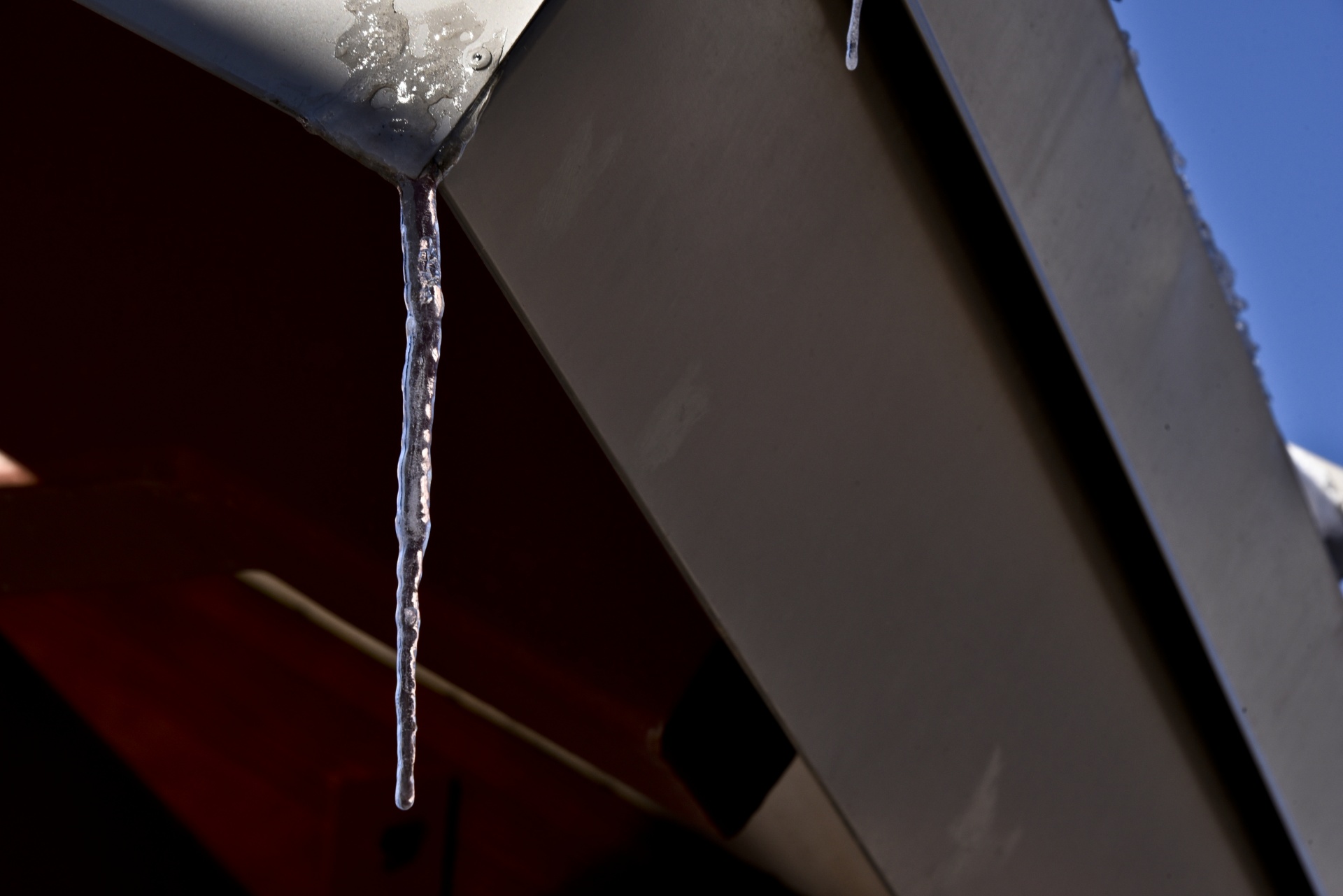 icicle water frozen free photo