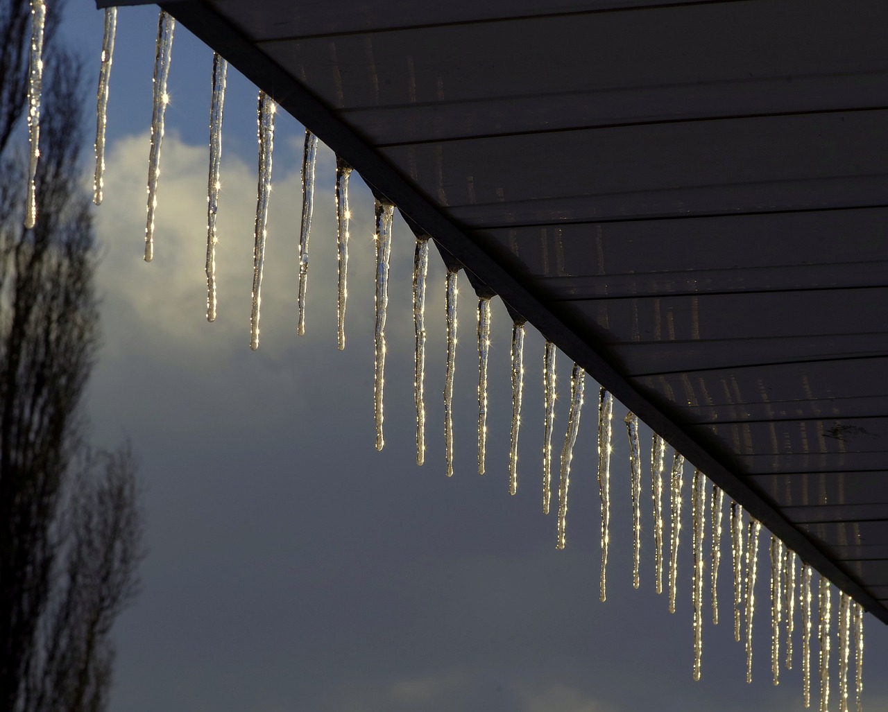 icicle frost winter free photo