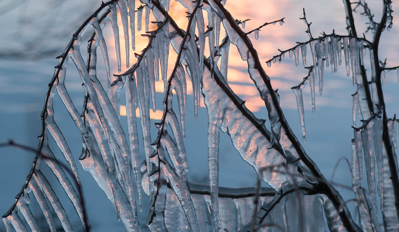 icicle light winter free photo