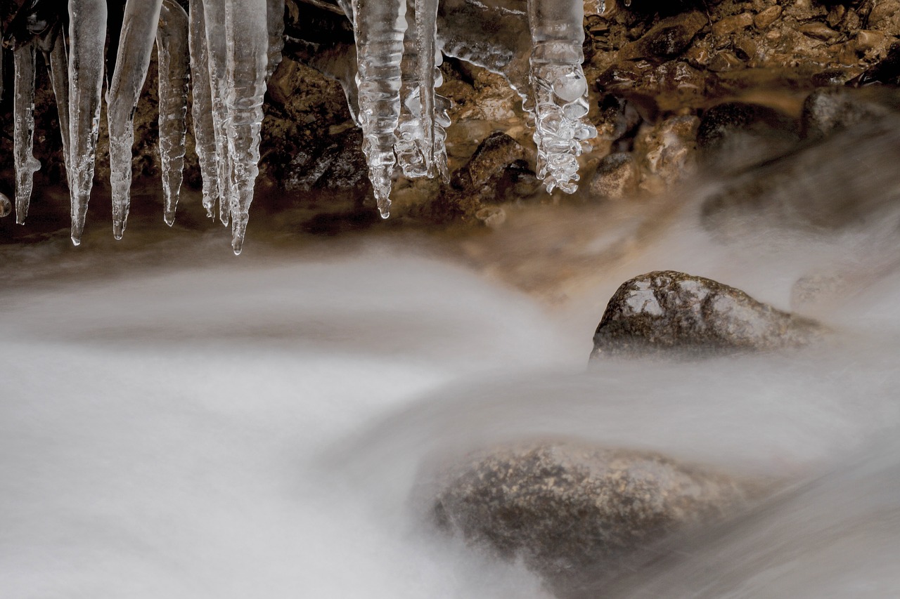 icicle winter frozen free photo