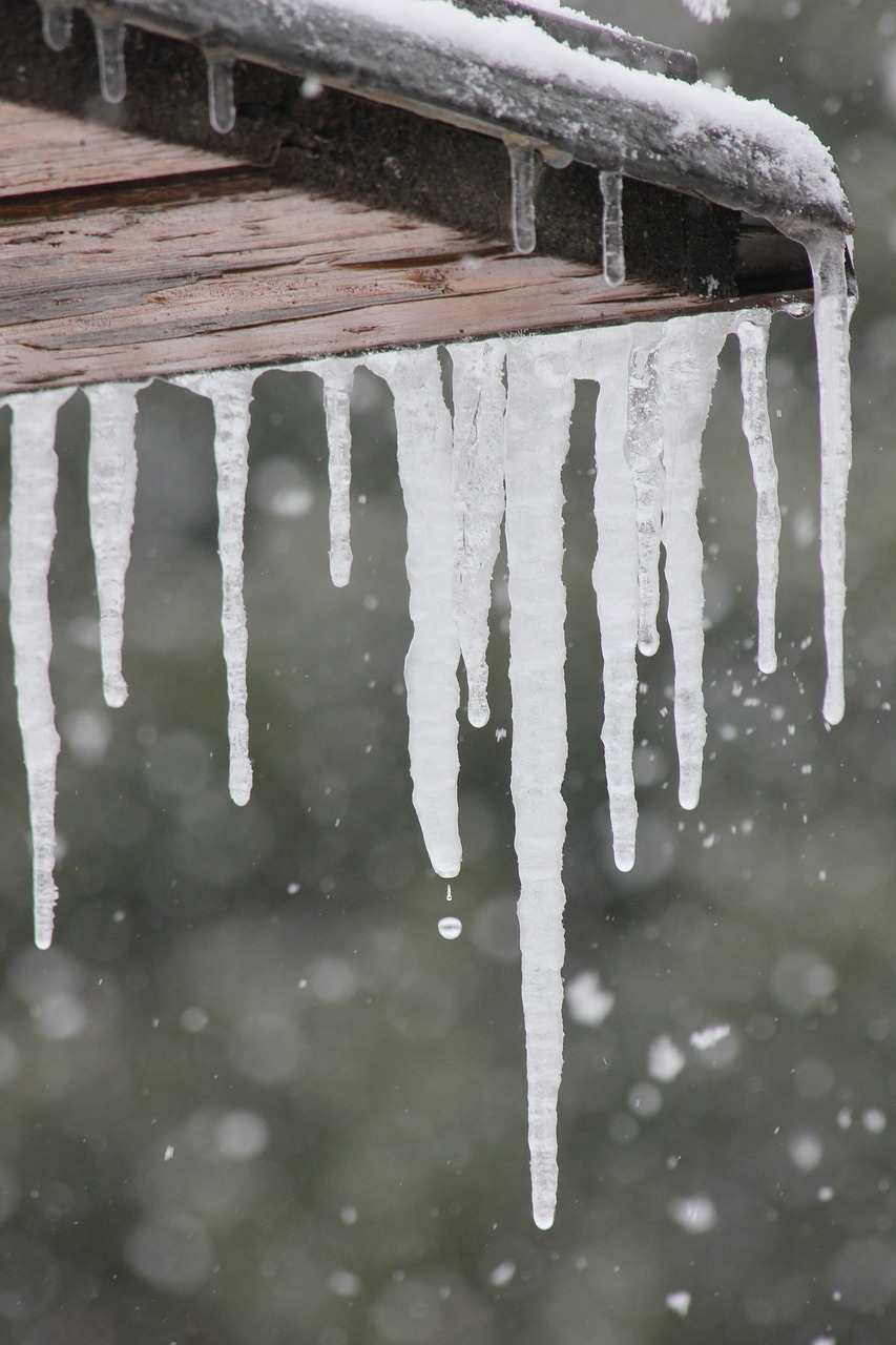 icicle winter ice free photo