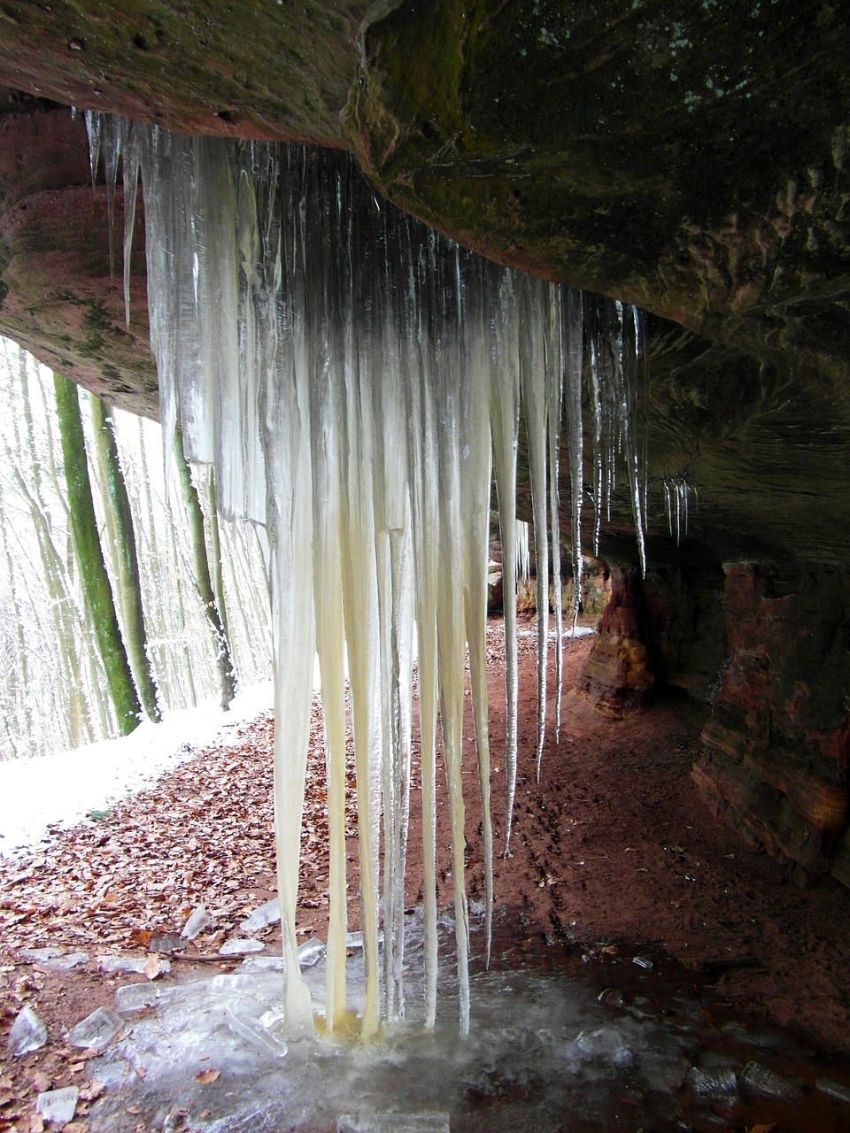 icicle winter cold free photo